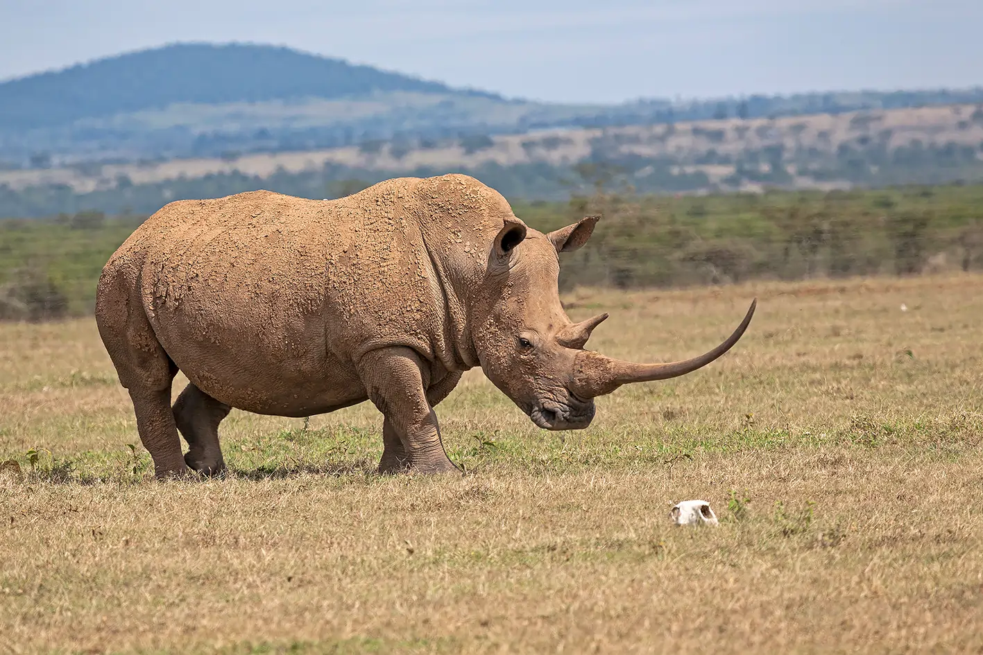 5 Days Kenya Family Safari